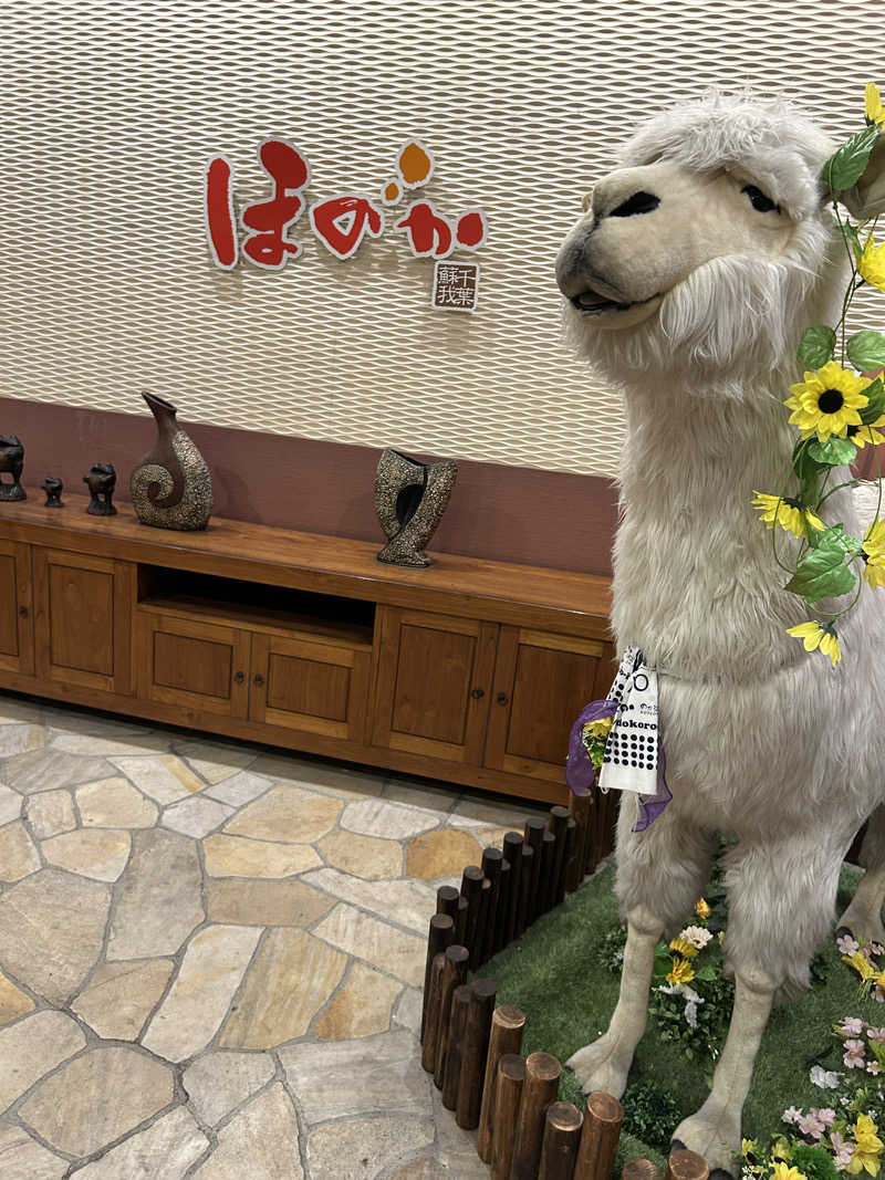 ここさんの湯の郷ほのか 蘇我店のサ活写真