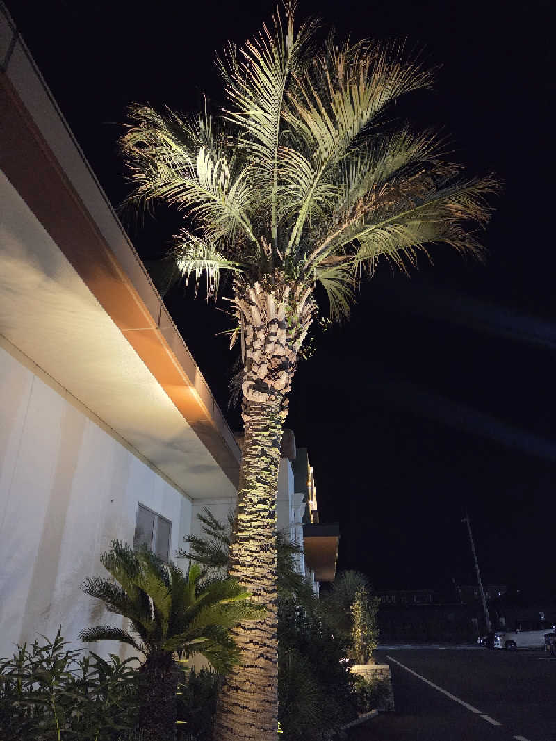 白樺さんの岩盤温浴リゾート ココプララのサ活写真