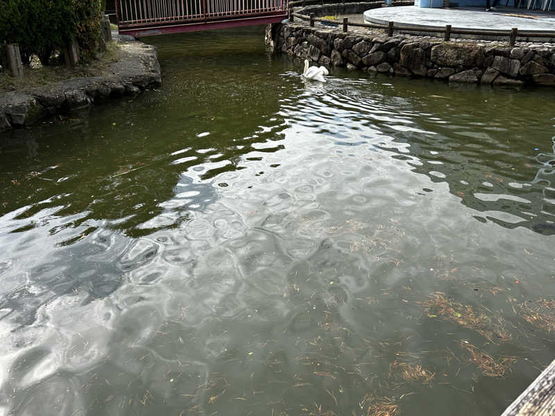 ミーのカーさんの大芦高原温泉 雲海のサ活写真