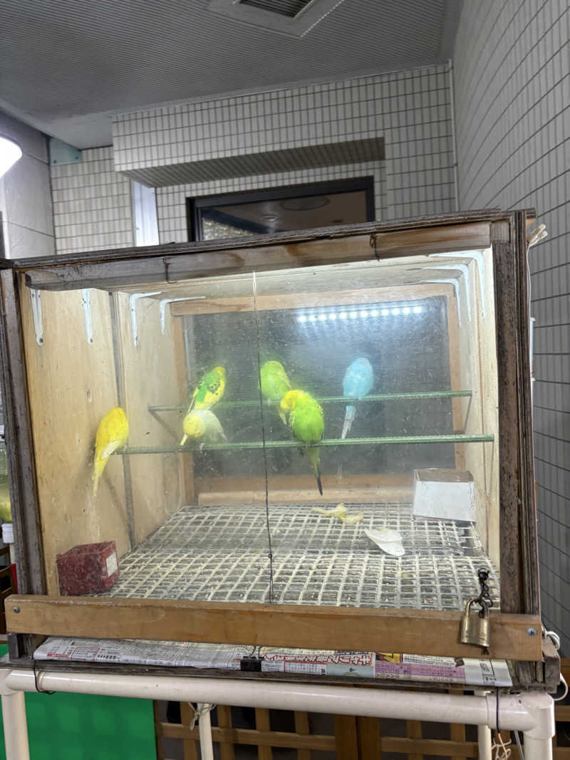 かんさんの湯あそびひろば 葛の湯のサ活写真
