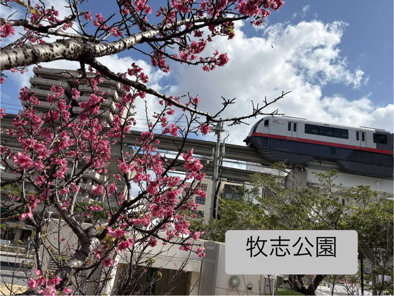 LKメトロさんのサウナの珠湯のサ活写真