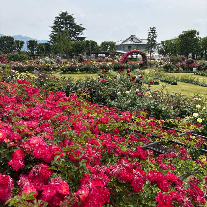 みやあんさんの湯の駅ぽんぽこのサ活写真