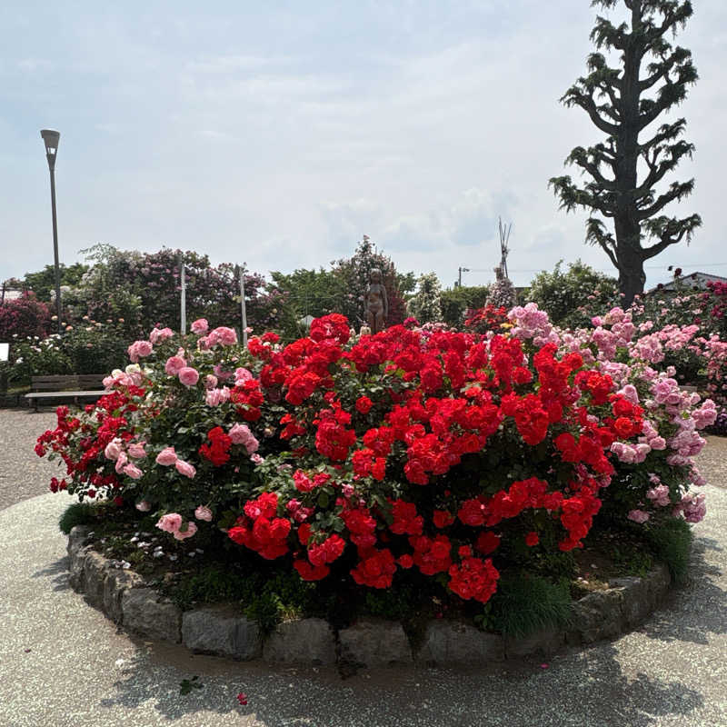 みやあんさんの湯の駅ぽんぽこのサ活写真