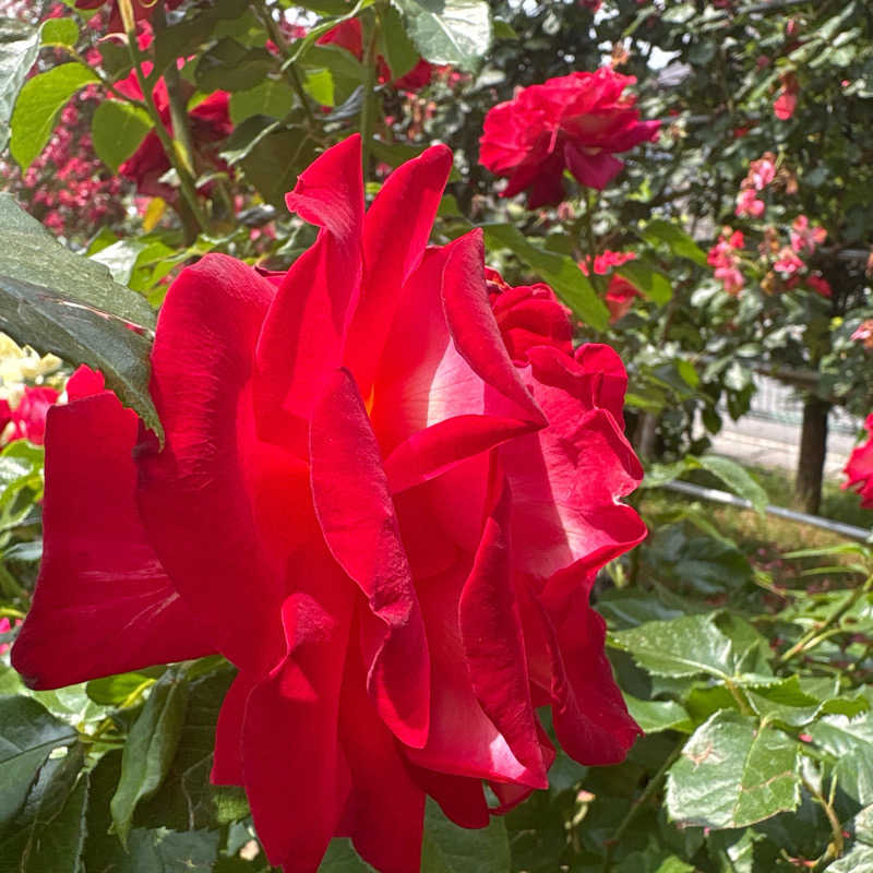 みやあんさんの湯の駅ぽんぽこのサ活写真