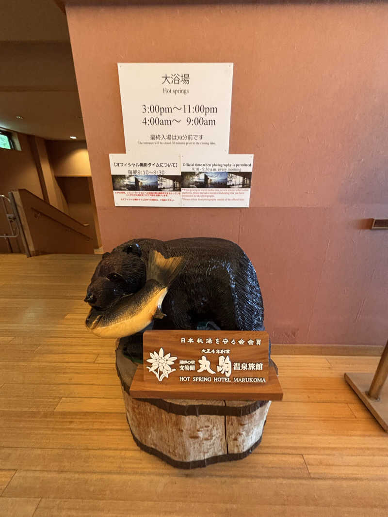 おこめちゃんさんの奥札幌の秘湯 湖畔の宿支笏湖 丸駒温泉旅館のサ活写真