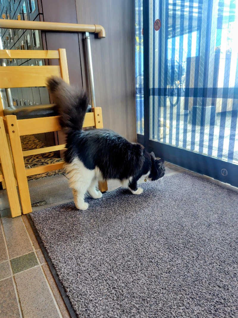 偶然偶然さんの行田・湯本天然温泉 茂美の湯のサ活写真