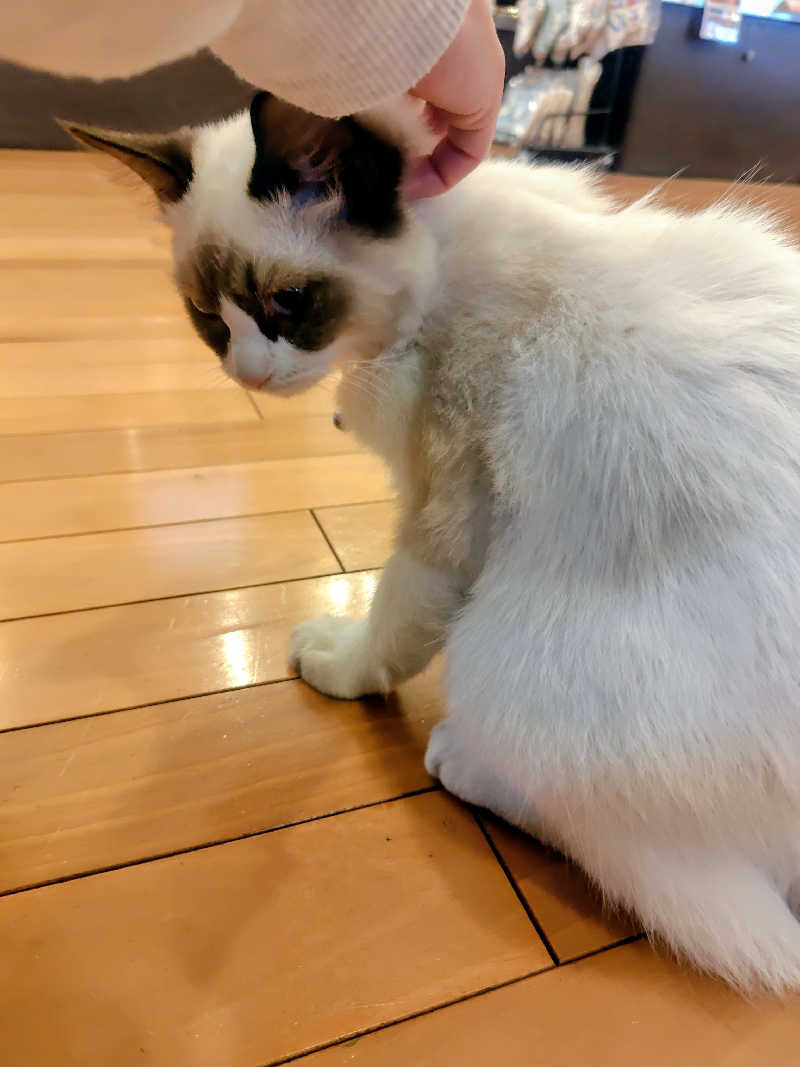 偶然偶然さんの行田・湯本天然温泉 茂美の湯のサ活写真