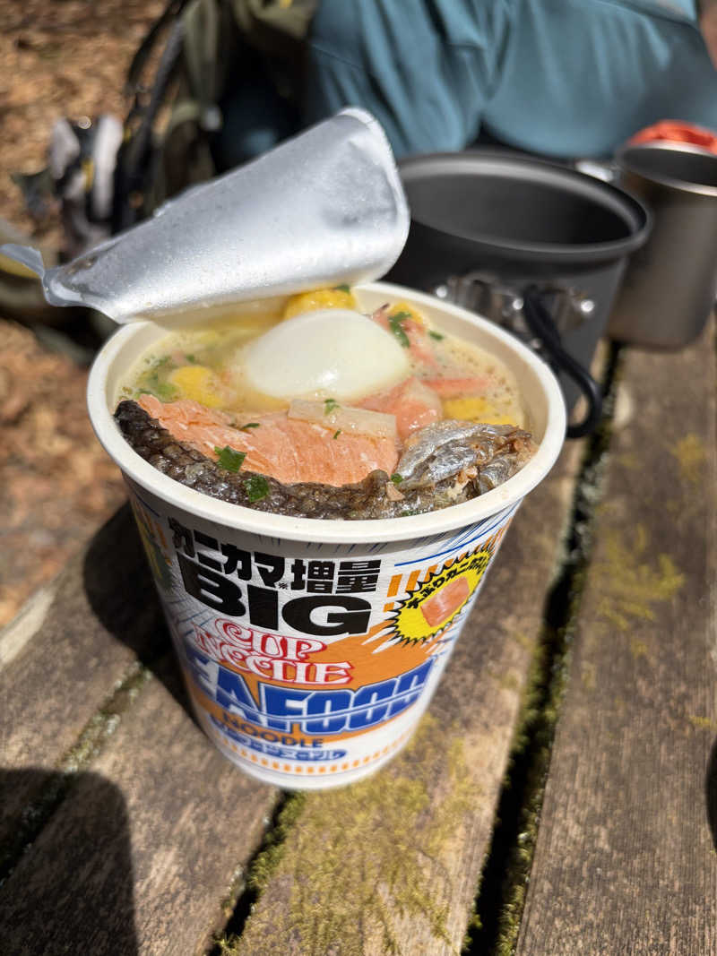 Hiroサさんのとうえい温泉 花まつりの湯のサ活写真