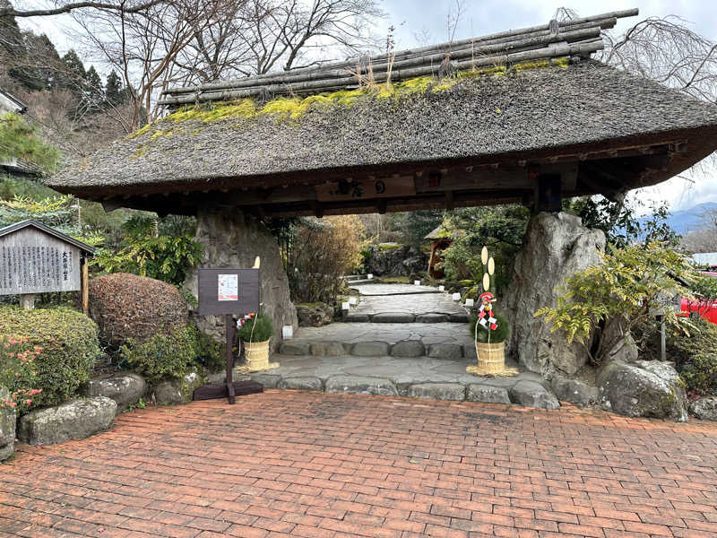 mochaさんの御殿場高原 天然温泉 茶目湯殿のサ活写真