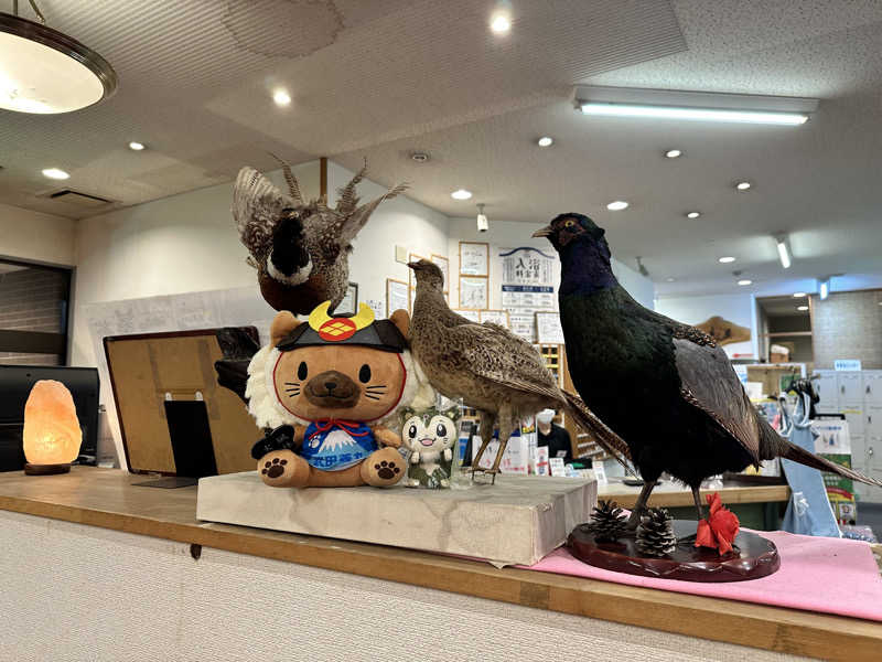 mochaさんのホテル&薬草風呂 スターらんどのサ活写真