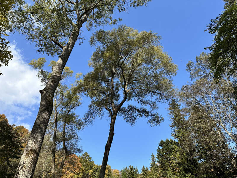 mochaさんのThe Saunaのサ活写真