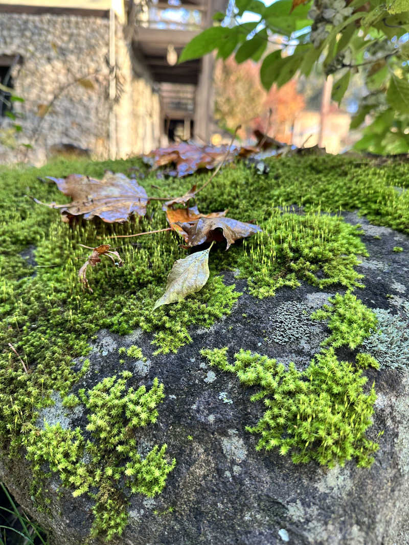 mochaさんのThe Saunaのサ活写真