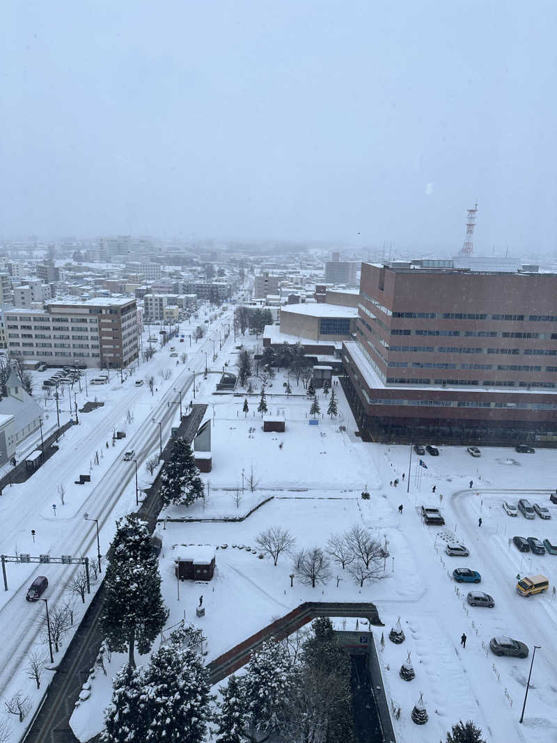 mochaさんのOMO7旭川(おも) by 星野リゾート サウナプラトーのサ活写真