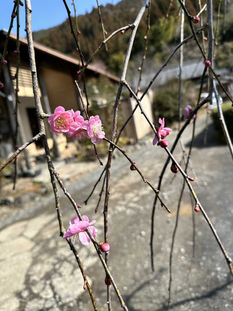 mochaさんのふきさらし湯のサ活写真