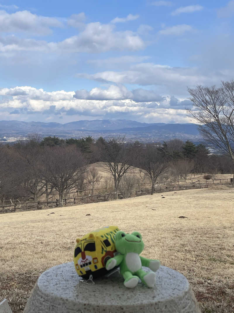 サリューさんのスカイピアあだたら 空の湯のサ活写真