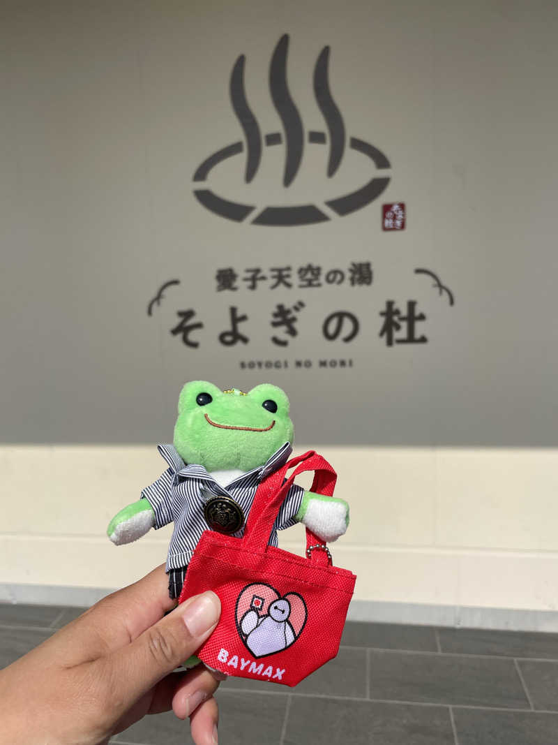 サリューさんの愛子天空の湯 そよぎの杜のサ活写真