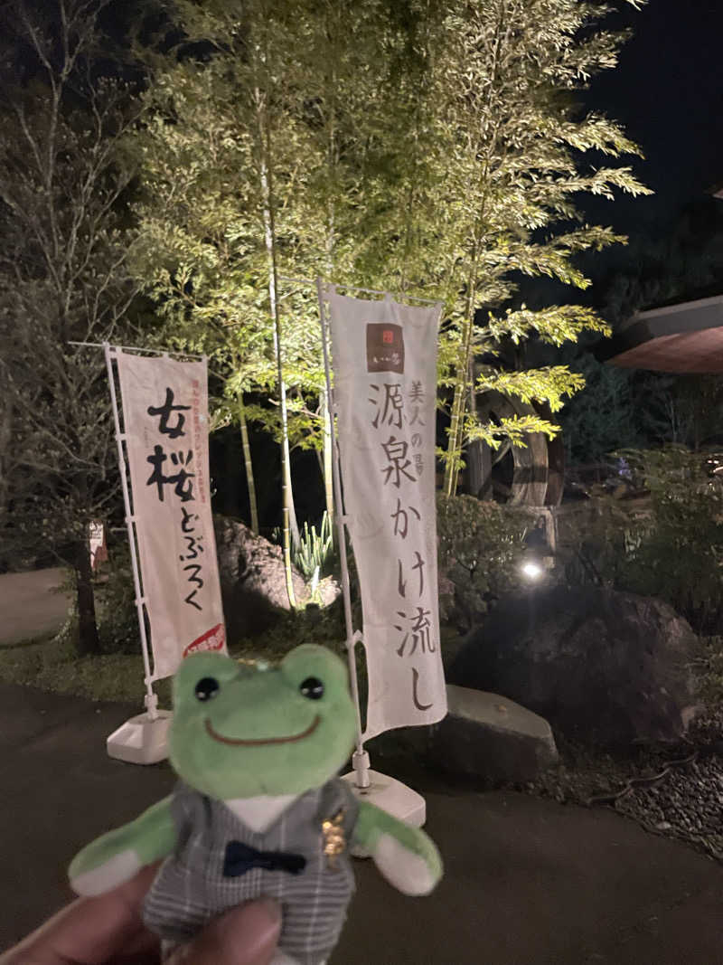 サリューさんのおおがわら天然温泉 いい湯のサ活写真
