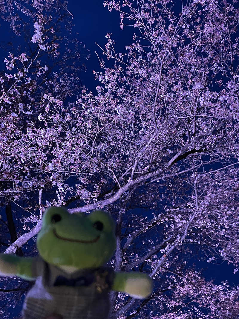 サリューさんのおおがわら天然温泉 いい湯のサ活写真