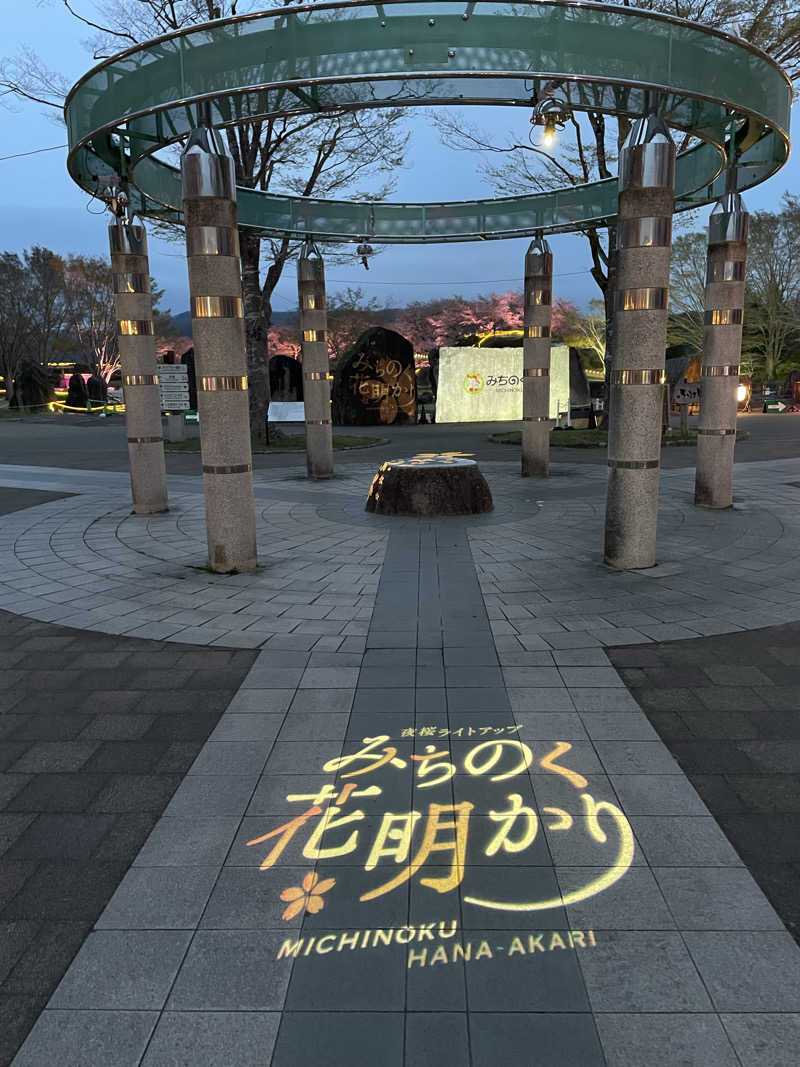サリューさんのおおがわら天然温泉 いい湯のサ活写真