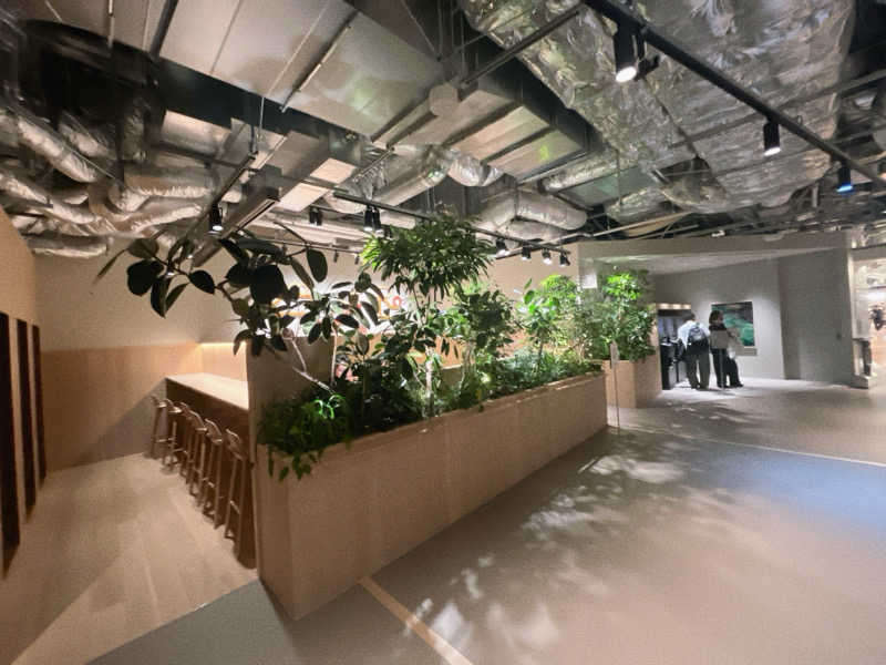 のむらさんの高輪SAUNASのサ活写真