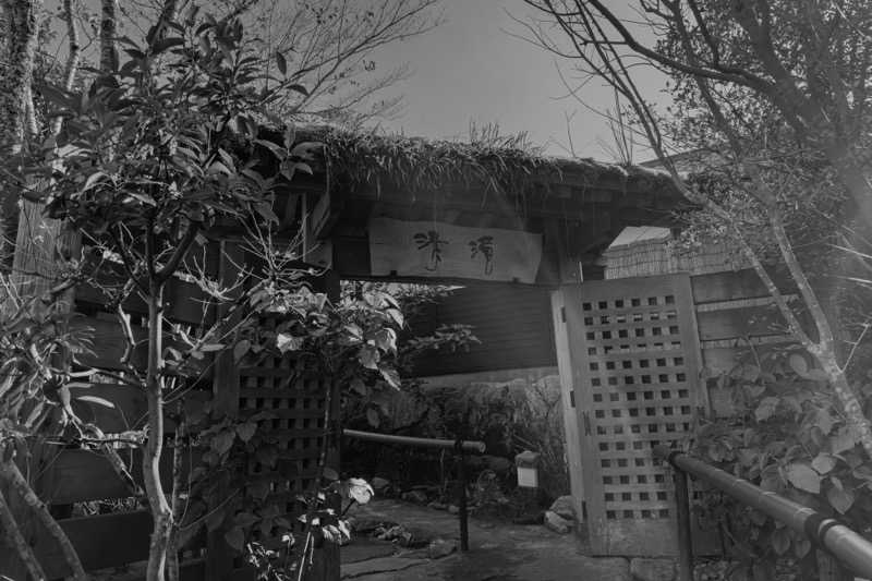 うさみみの達人さんの那珂川清滝のサ活写真