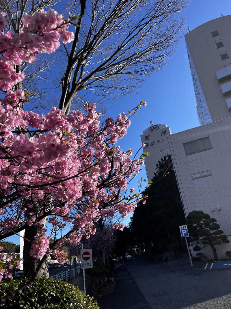 孤独のサウナ飯さんの駿河健康ランドのサ活写真