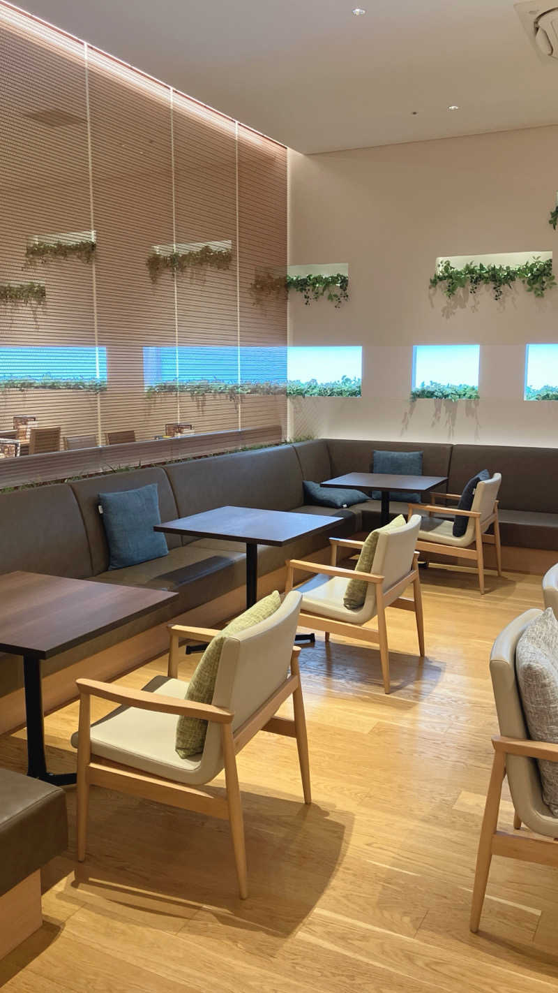 五反田ススムさんの天然温泉 泉天空の湯 有明ガーデンのサ活写真