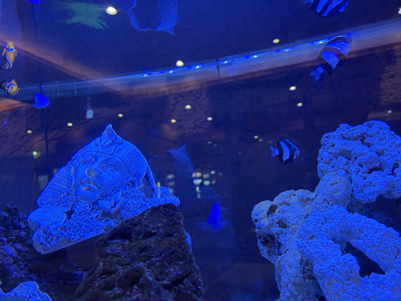 ayaさんの湯の郷 絢ほのかのサ活写真