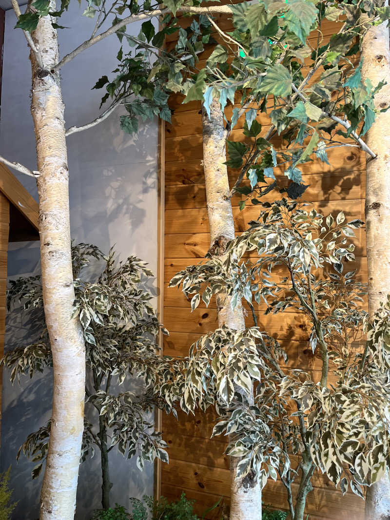 natsuさんのウェルビー栄のサ活写真