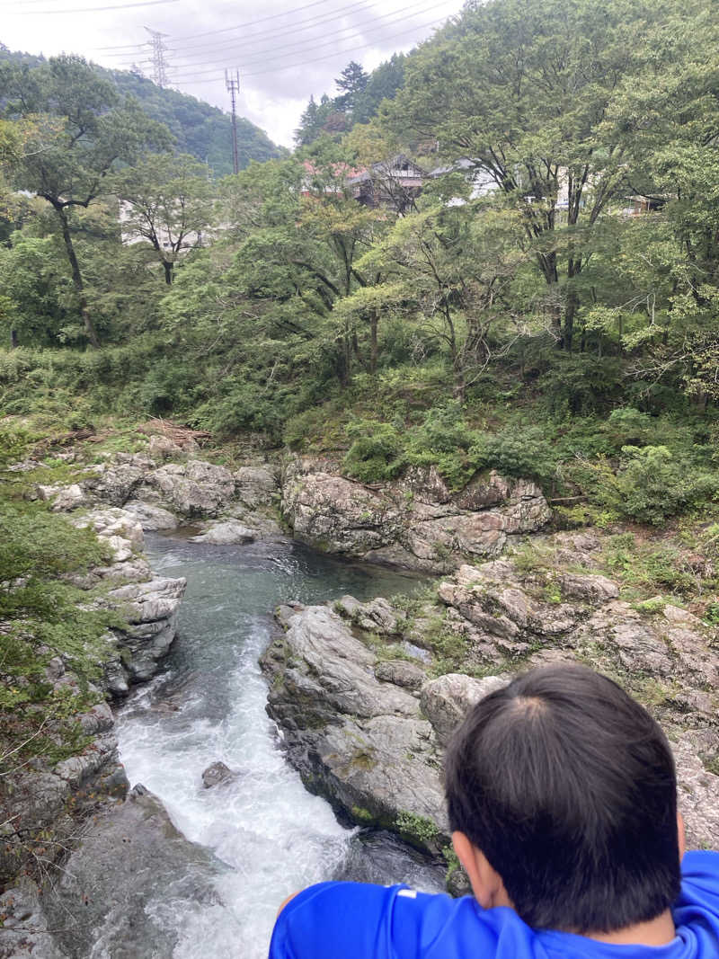 学さんの秋川渓谷 瀬音の湯のサ活写真