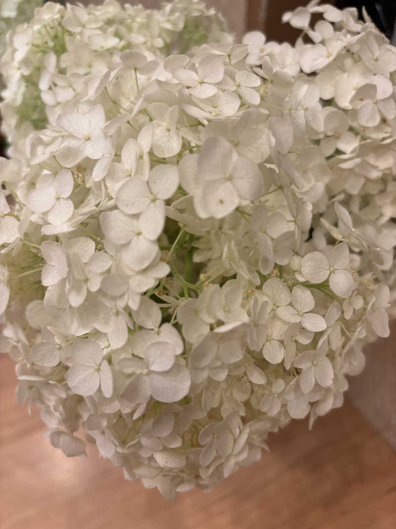 ふくまるさんの鳴海温泉のサ活写真