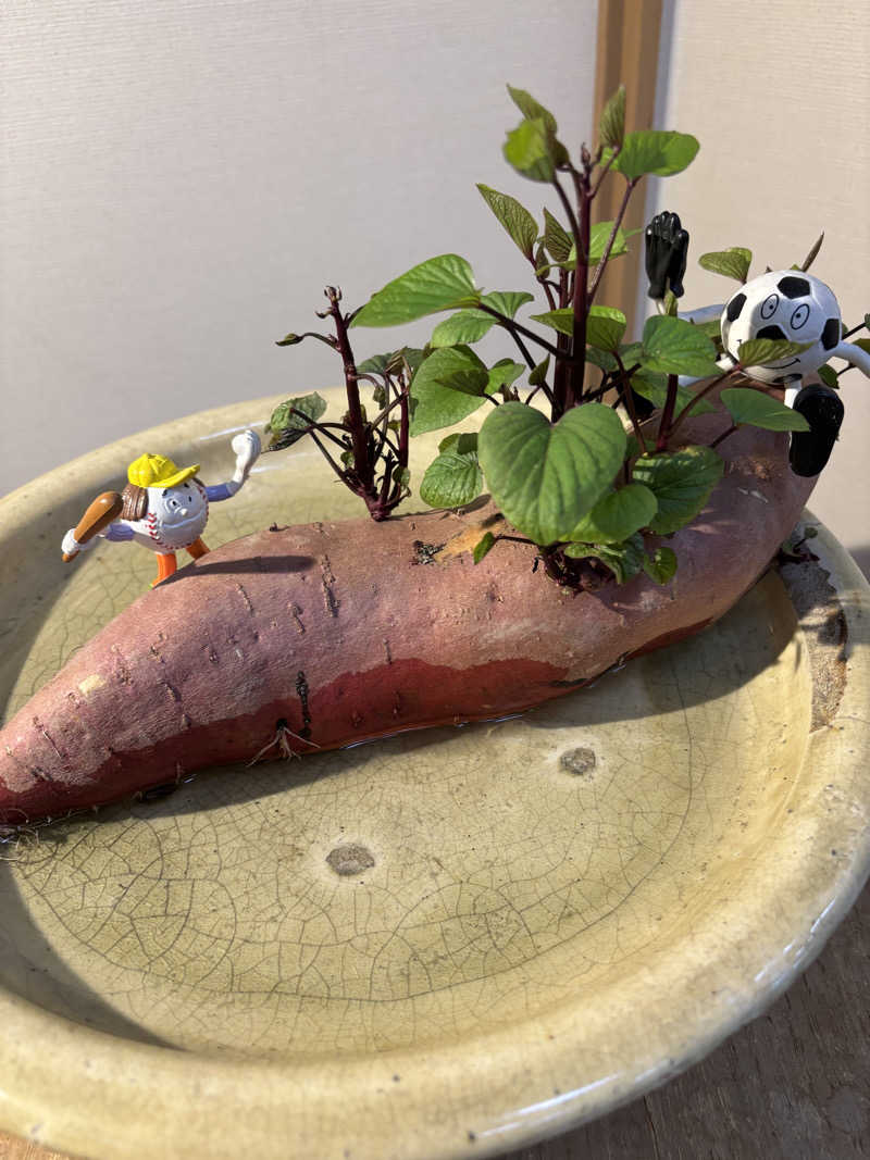 ふくまるさんの鳴海温泉のサ活写真