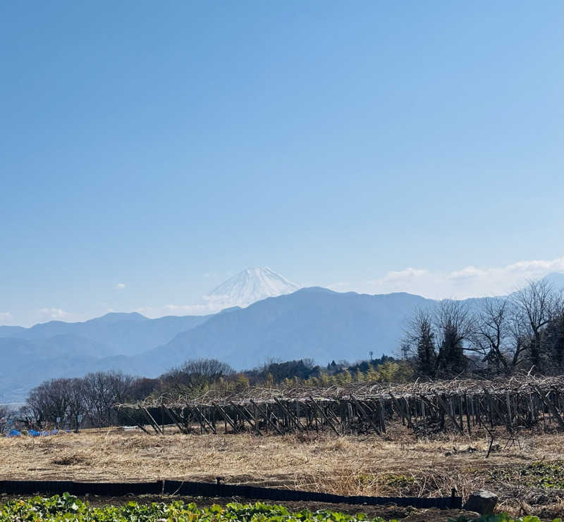 ふくまるさんのまほらの湯のサ活写真