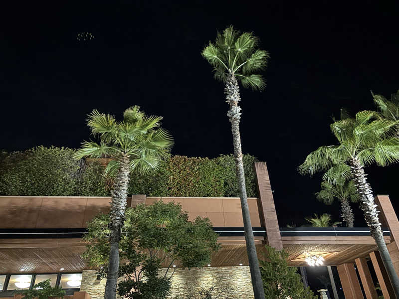 ふくまるさんの名東温泉 花しょうぶのサ活写真