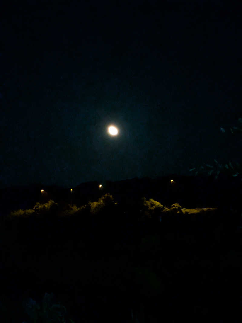 さっちゃんさんのラピスパのサ活写真