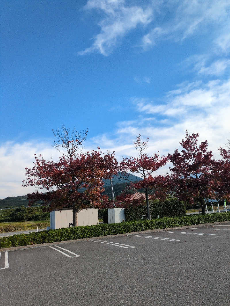 さっちゃんさんのラピスパのサ活写真