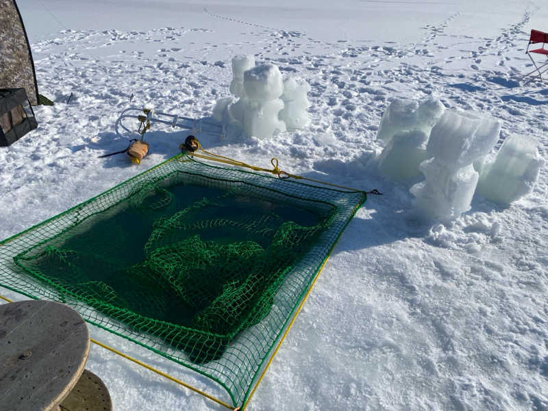 ザクおじさんの北海道アヴァントのサ活写真