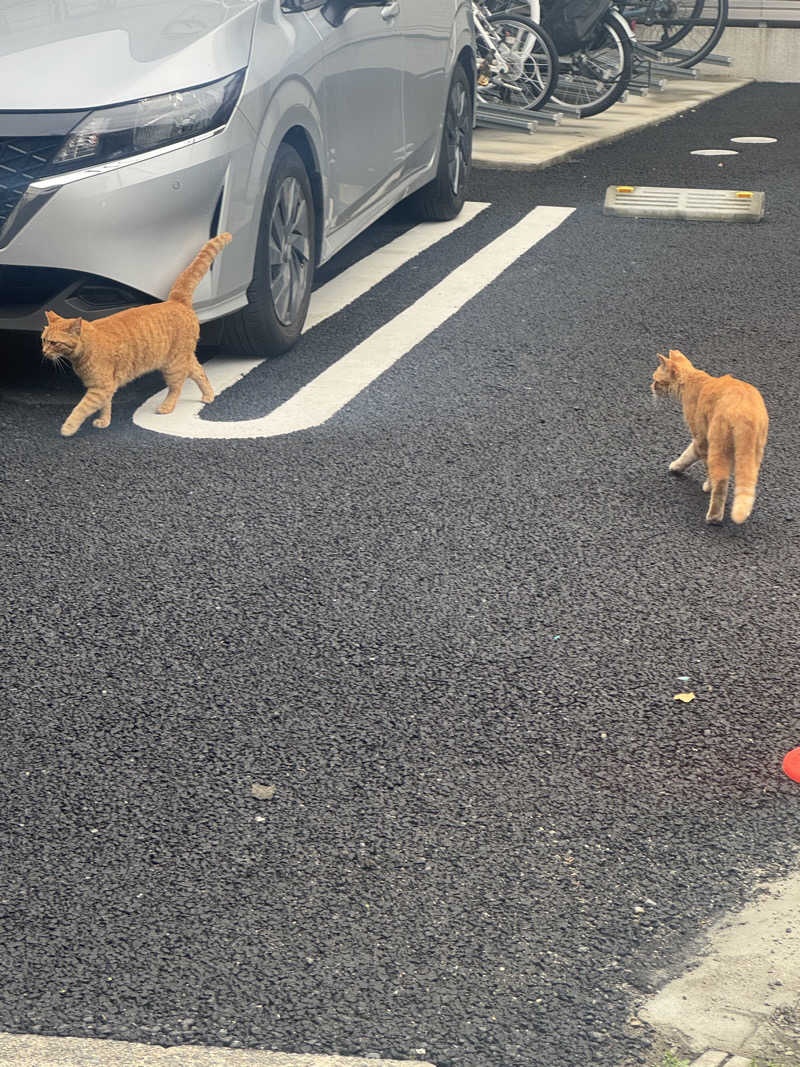 ひろとさんの堀田湯のサ活写真