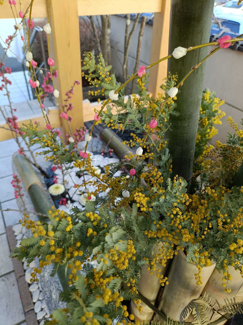 水風呂でととのった～！さんの天光の湯のサ活写真