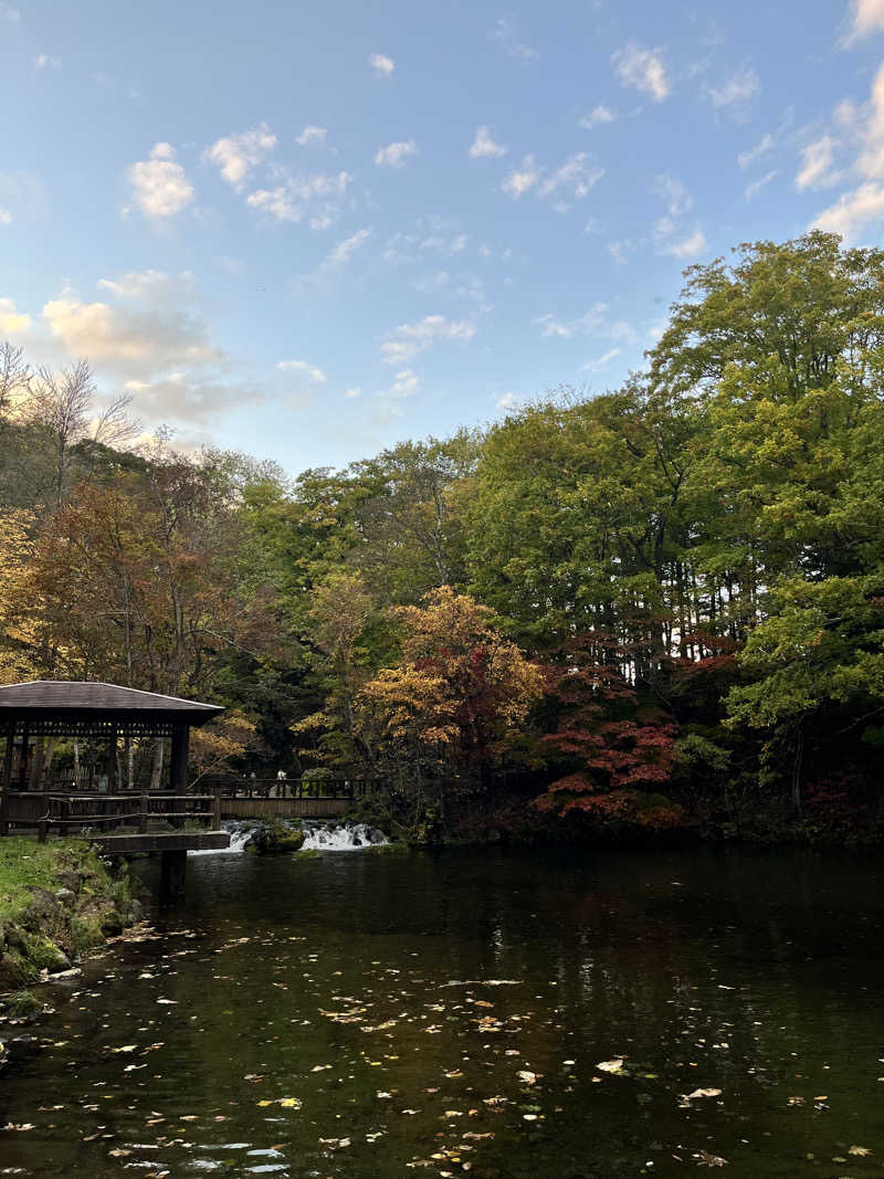 ゆきんこさんの京極温泉 京極ふれあい交流センターのサ活写真