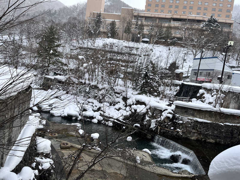 ゆきんこさんの定山渓 鹿の湯のサ活写真