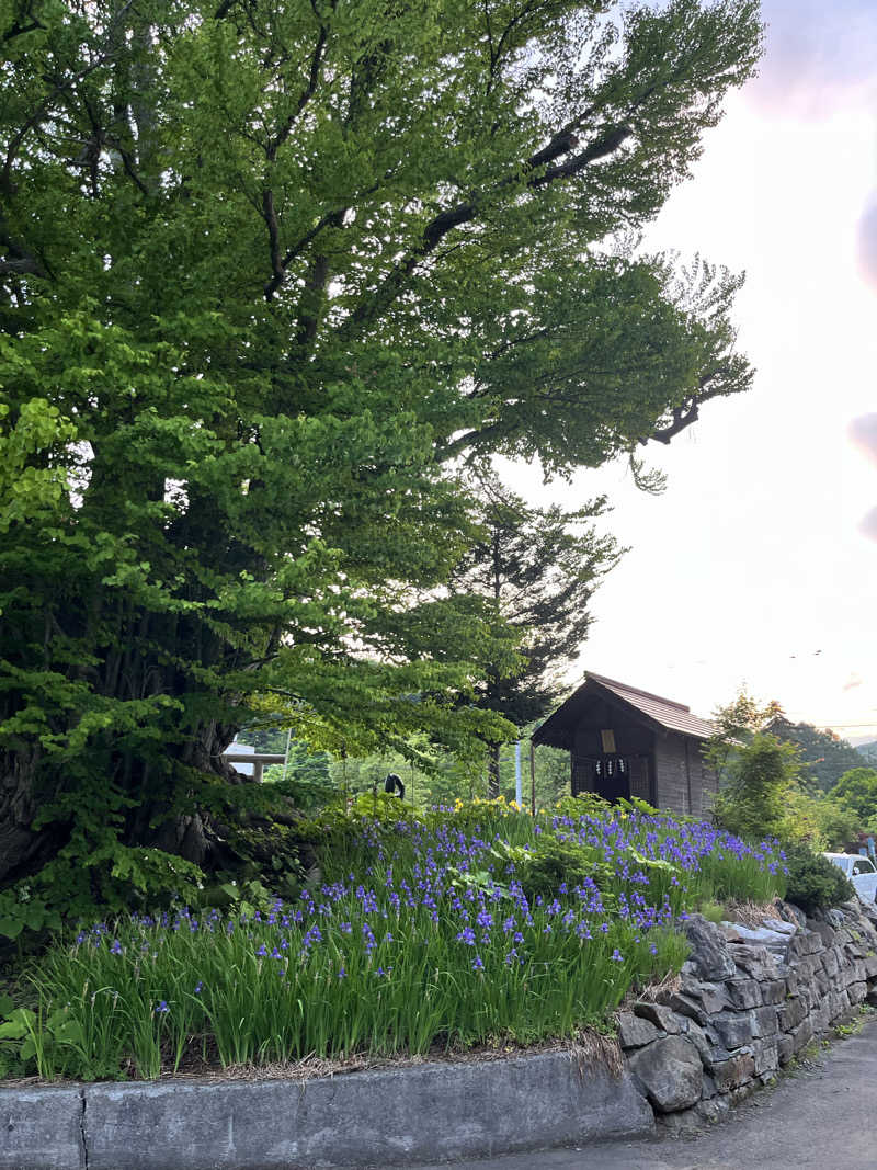ゆきんこさんの小金湯温泉 湯元 小金湯のサ活写真