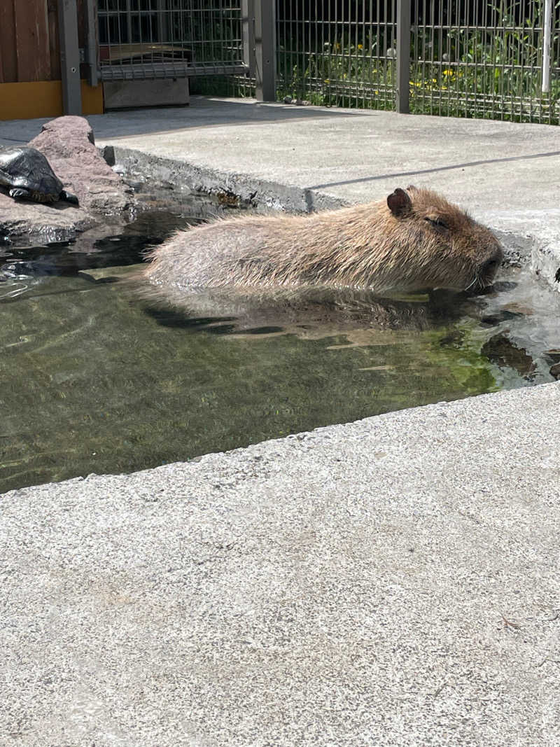 ひろかずさんのおおがわら天然温泉 いい湯のサ活写真