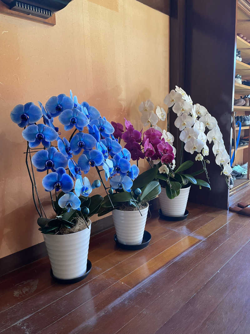 ひろかずさんの晴れ温泉のサ活写真