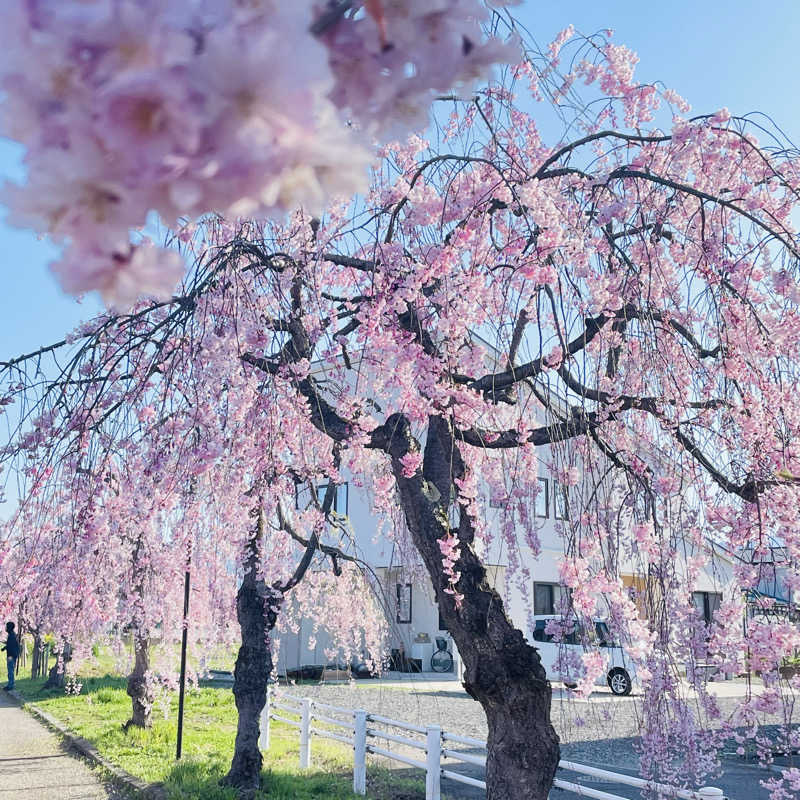 ひろかずさんのふれあいランド高郷のサ活写真