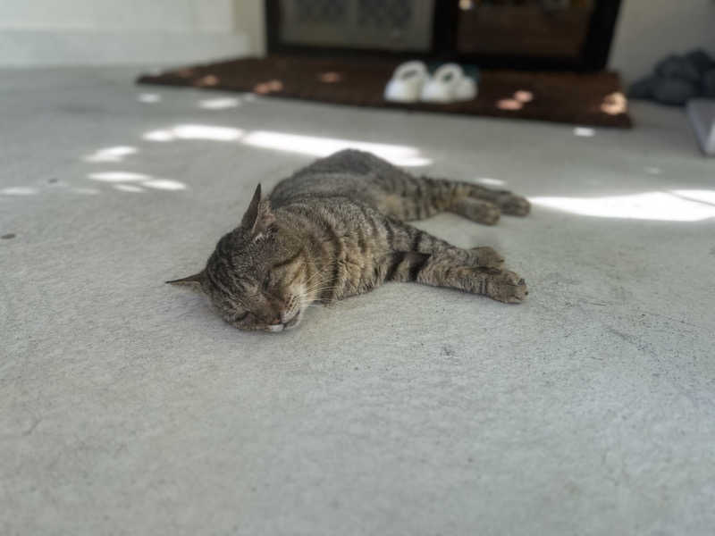 しんやんしさんのサ郷kakeRu アースバッグサウナ発祥の地のサ活写真