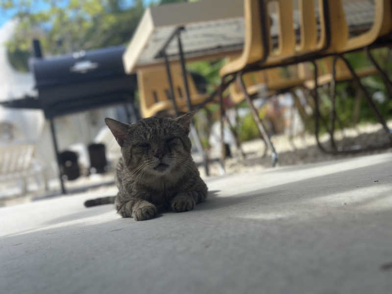 しんやんしさんのサ郷kakeRu アースバッグサウナ発祥の地のサ活写真