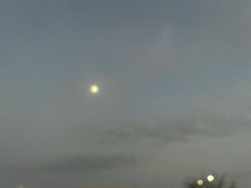 愛猫はみーちゃんさんの輝泉の湯(柳川温泉ホテル 輝泉荘)のサ活写真