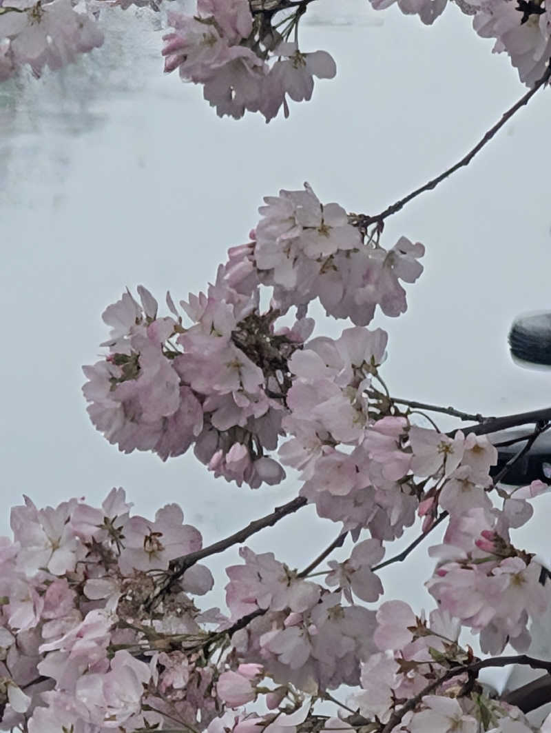 bigbozeさんの天然温泉 満天の湯のサ活写真