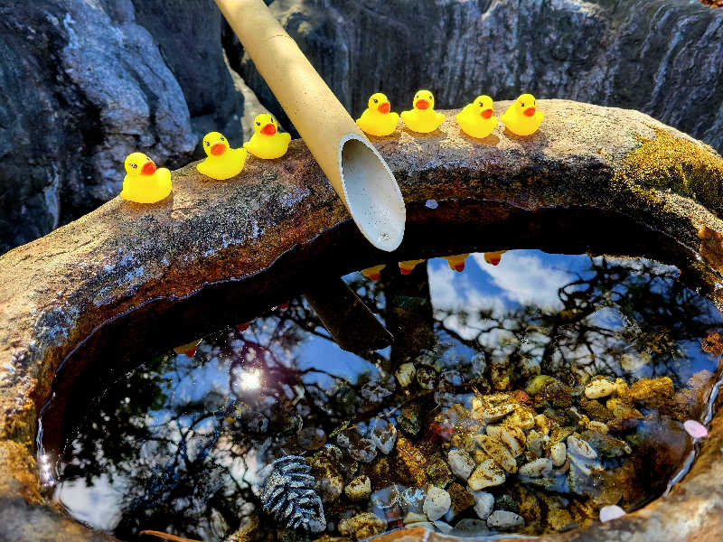 sauna parrotさんの小さな旅  川越温泉のサ活写真